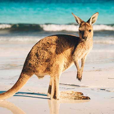 Australia