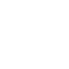 Image with missing alt attribute found on trestristestigres.com