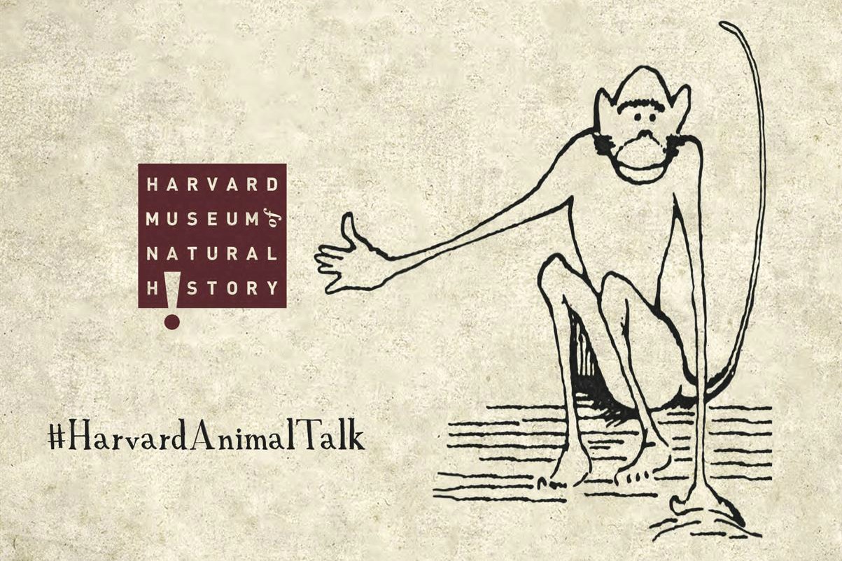 Image with missing alt attribute found on harvard.edu