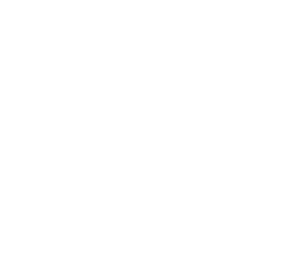 Image with missing alt attribute found on transworldsystems.com