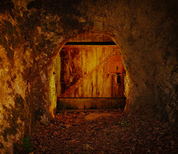 Image with missing alt attribute found on twil.fr