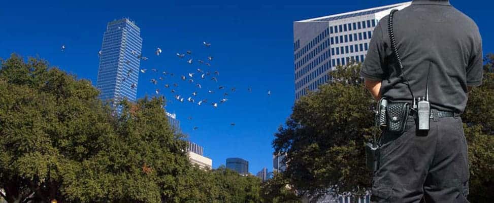 Image with missing alt attribute found on twincitysecuritydallas.com