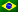Portugu&ecirc;s do Brasil