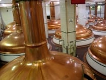 Colorado Brewery Tours