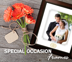 Special Occasion