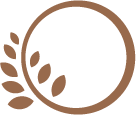 Image with missing alt attribute found on usfamilyguide.com