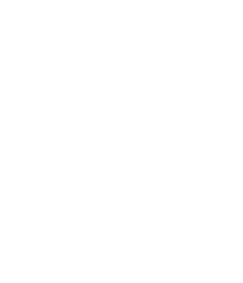 Image with missing alt attribute found on vcsolutions.com