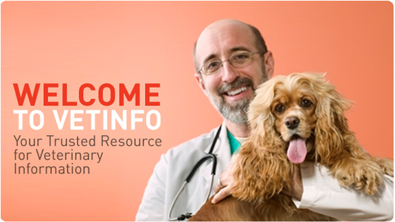 Image with missing alt attribute found on vetinfo.com