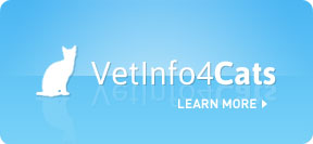 Image with missing alt attribute found on vetinfo.com