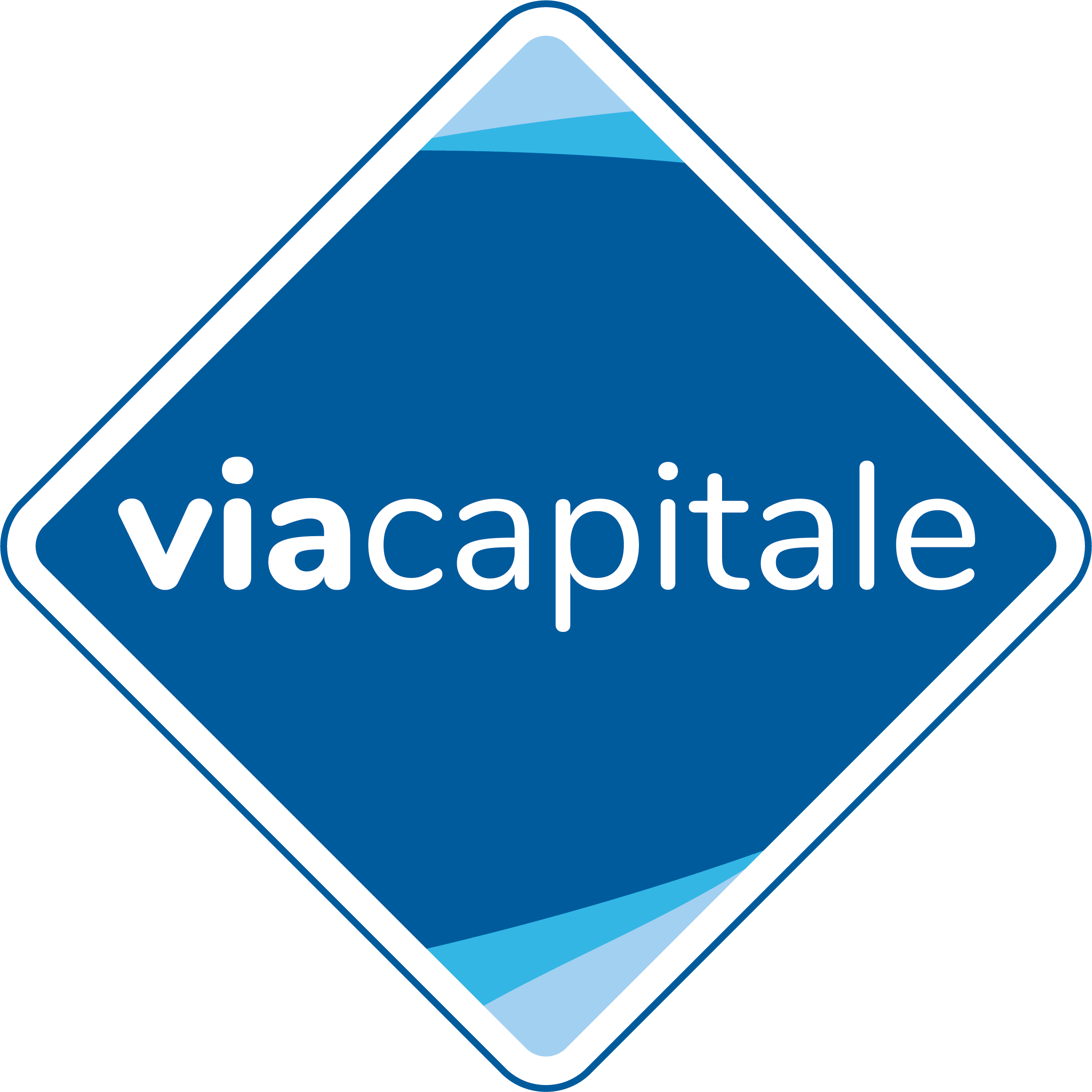 Image with missing alt attribute found on viacapitalevendu.com