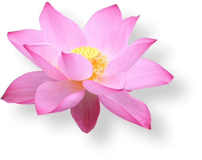 Image with missing alt attribute found on vietnamairlines.com