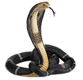 Image with missing alt attribute found on vinaybajrangi.com
