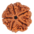Image with missing alt attribute found on vinaybajrangi.com