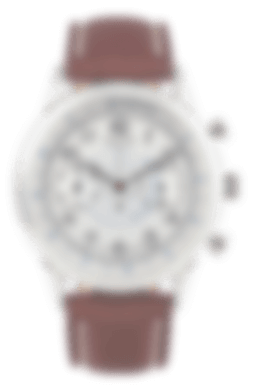 Image with missing alt attribute found on watchgang.com