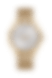 Image with missing alt attribute found on watchgang.com