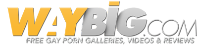 Image with missing alt attribute found on waybig.com