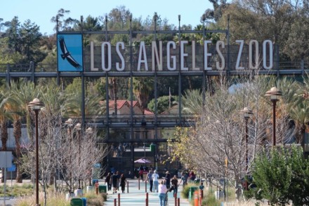 Los Angeles Zoo Entrance