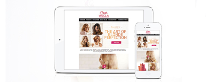 Image with missing alt attribute found on wella.com