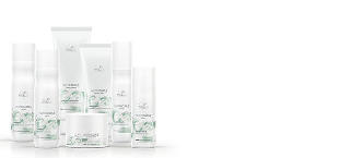 Image with missing alt attribute found on wella.com