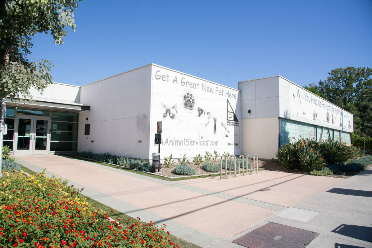 WesternU College of Veterinary Medicine and LA Animal Services celebrate the opening of the East Valley Spay/Neuter Center in Van Nuys.