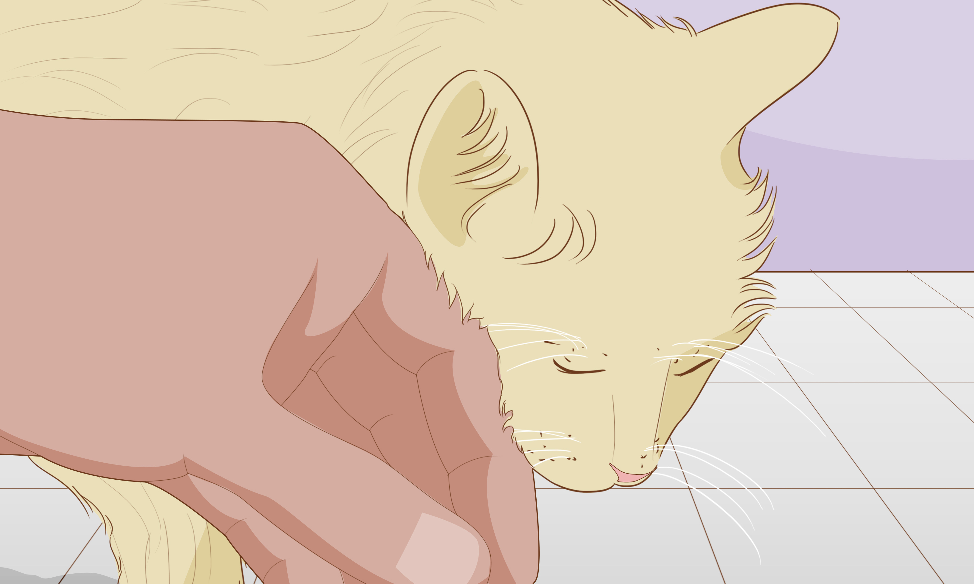 Image with missing alt attribute found on wikihow.vn