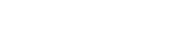 Witsolution Logo