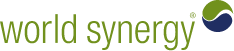 World Synergy