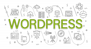 Image with missing alt attribute found on wpserveur.net