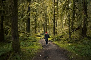 The Path to Gratitude