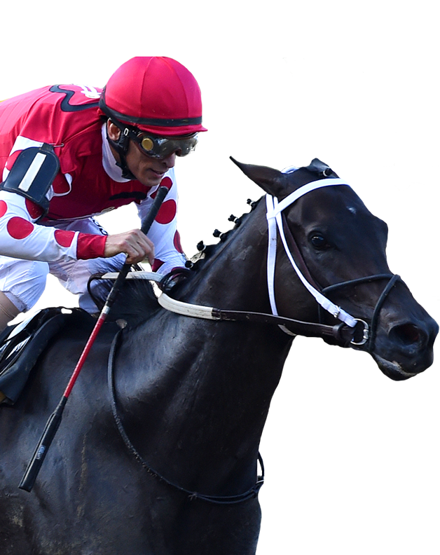 Image with missing alt attribute found on xpressbet.com