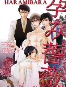 Image with missing alt attribute found on yaoiotaku.com