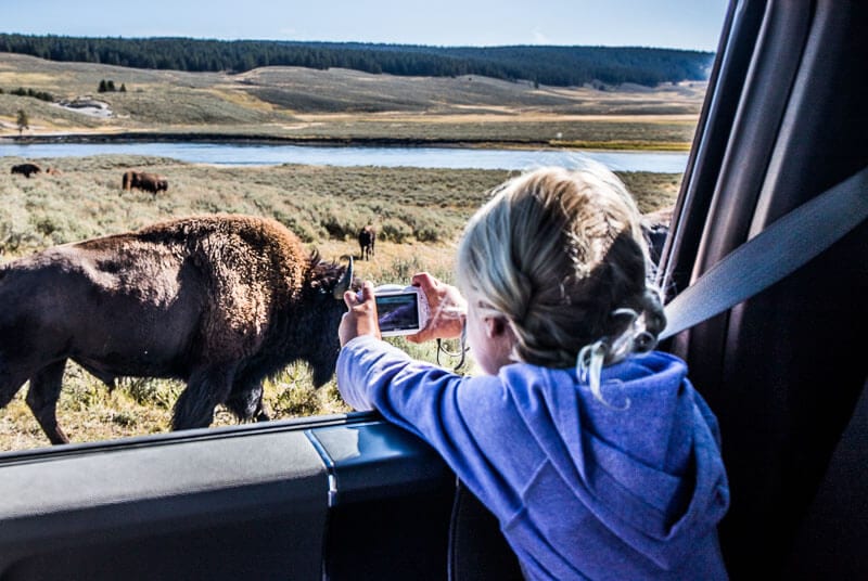 https://www.ytravelblog.com/wp-content/uploads/2019/10/kids-camera-hayden-valley-yellowstone-np.jpg