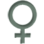 Top 10 Feminized Cannabis Seeds