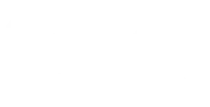 Google Reviews