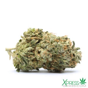 Lindsay OG