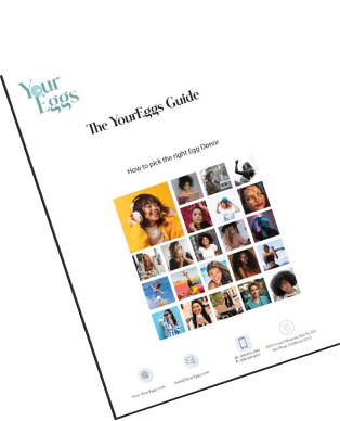 Image with missing alt attribute found on youreggs.com