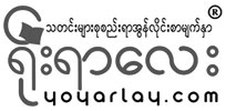 Image with missing alt attribute found on yoyarlay.com