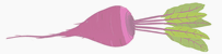 Image with missing alt attribute found on yupitsvegan.com