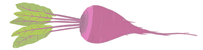 Image with missing alt attribute found on yupitsvegan.com