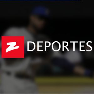 Image with missing alt attribute found on z101digital.com