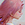 Image with missing alt attribute found on zbrushcentral.com