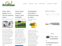 Desktop screenshot for ecocosas.com