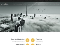 Desktop screenshot for webking.be