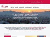 Desktop screenshot for cdp.net