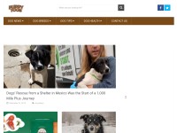 Desktop screenshot for puppytoob.com