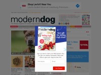Desktop screenshot for moderndogmagazine.com
