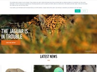 Desktop screenshot for panda.org