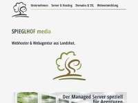 Desktop screenshot for shmhost.net