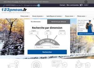 How 123pneus.fr looks like on a tablet such as an iPad.