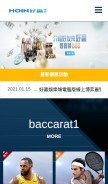 How 178hoin.com looks like on a mobile device such as an iPhone.